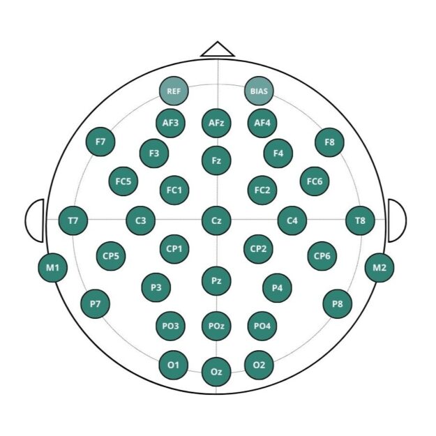 A Guide to EEG Electrode Placement: The 10–20 System Explained ...