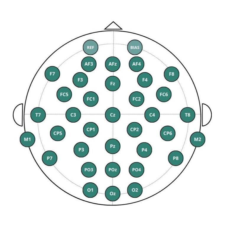A Guide to EEG Electrode Placement: The 10–20 System Explained ...