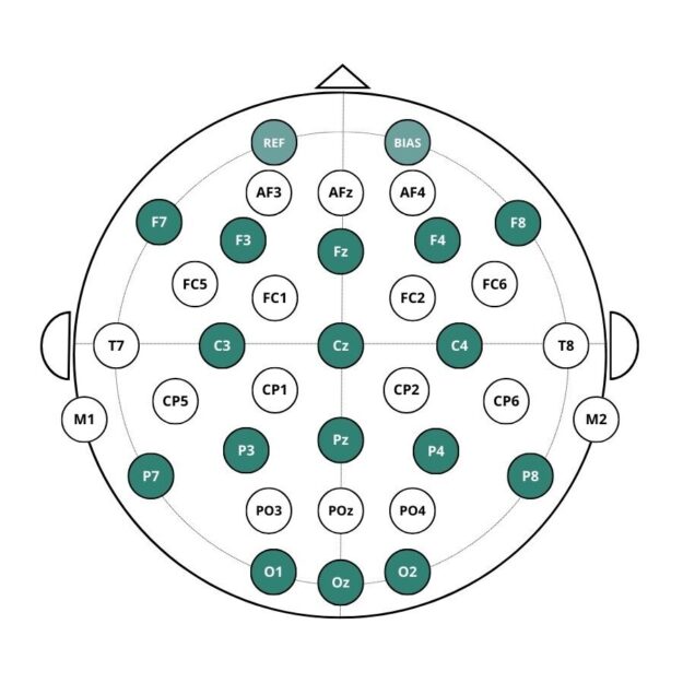 A Guide to EEG Electrode Placement: The 10–20 System Explained ...
