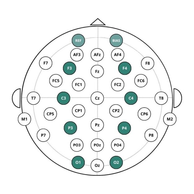 A Guide to EEG Electrode Placement: The 10–20 System Explained ...