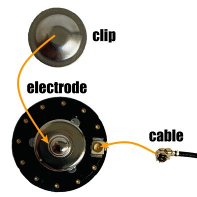 BrainAccess electrode mounting