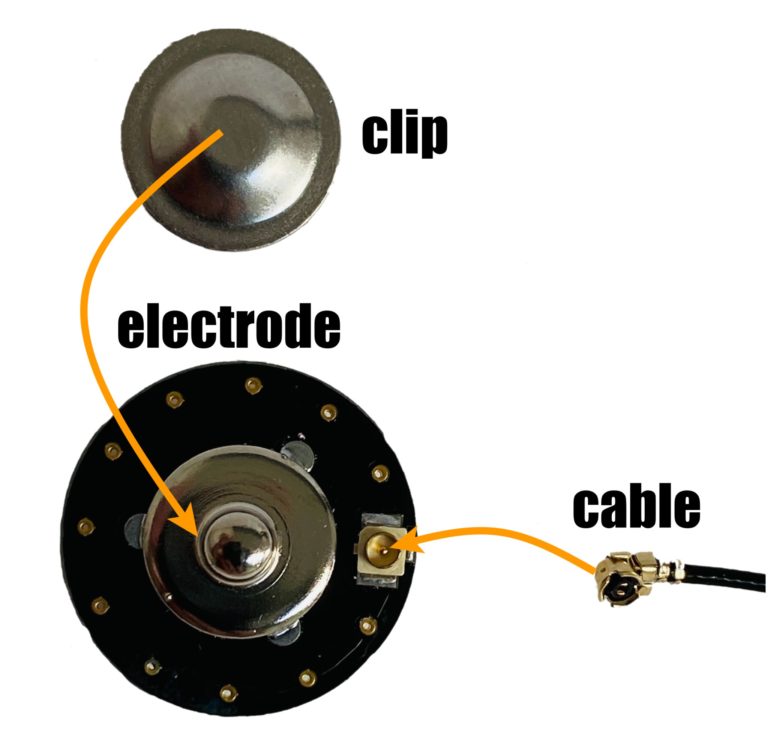 BrainAccess electrode mounting