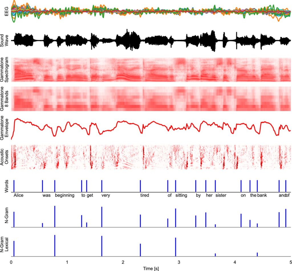 Neural Speech Tracking: From Lab Tool to Real-World Benchmark - BrainAccess