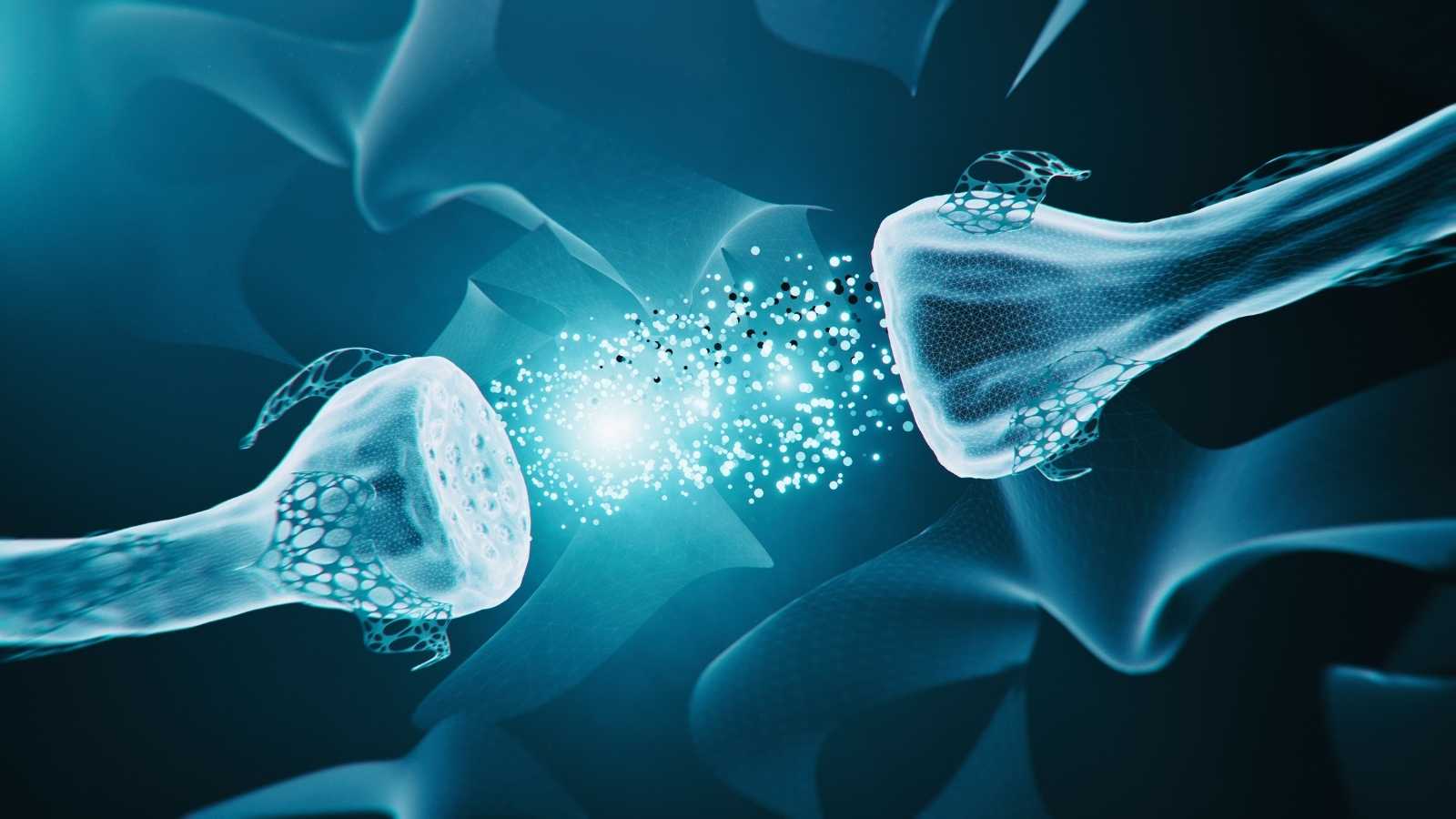 The Dawn of Biocomputers: Where Biology Meets Computing - BrainAccess The Dawn of Biocomputers: Where Biology Meets Computing - BrainAccess