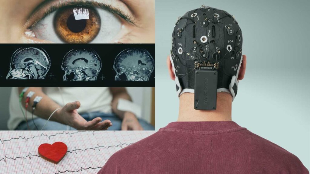 Multimodal Integration: How Your Experiment Can Benefit from Multiple Modalities - BrainAccess Multimodal Integration: How Your Experiment Can Benefit from Multiple Modalities