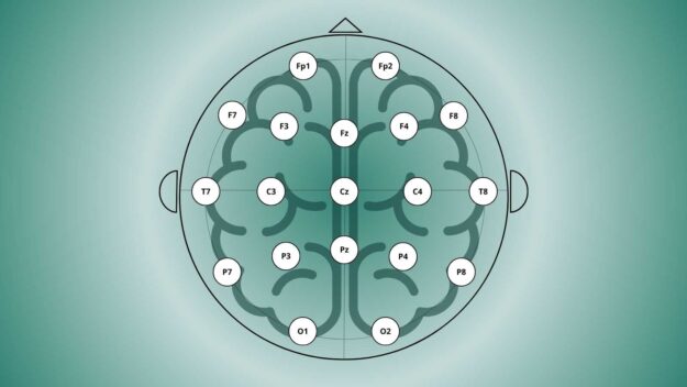 A Guide to EEG Electrode Placement: The 10–20 System Explained ...