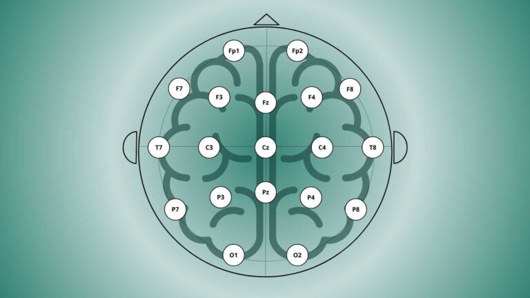 A Guide to EEG Electrode Placement: The 10–20 System Explained ...
